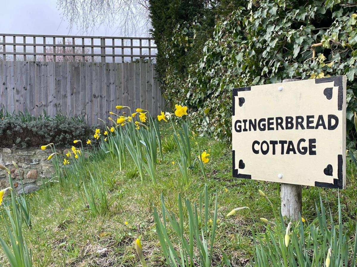 Gingerbread Cottage Chideock Bagian luar foto